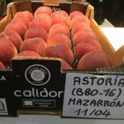 astoria-seftali-2